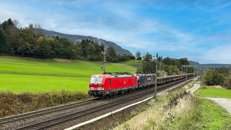  A freight train drives through a meadow landscape